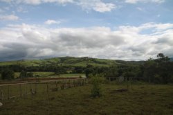 IMG_7987 (FILEminimizer)