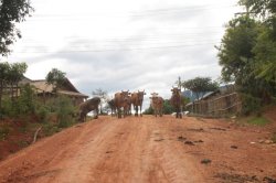 IMG_7998 (FILEminimizer)