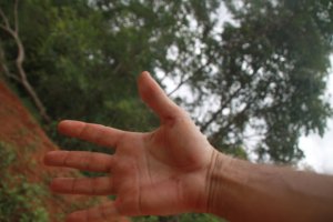 IMG_8016 (FILEminimizer)