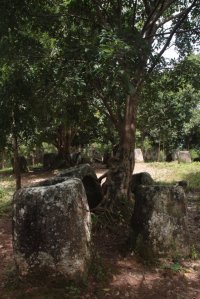 IMG_8034 (FILEminimizer)