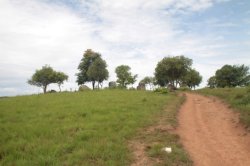 IMG_8040 (FILEminimizer)