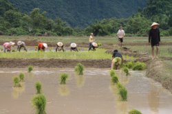 IMG_8288 (FILEminimizer)