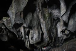 IMG_8359 (FILEminimizer)