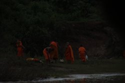 IMG_9373 (FILEminimizer)