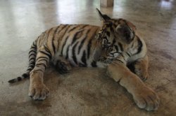 IMG_9439 (FILEminimizer)