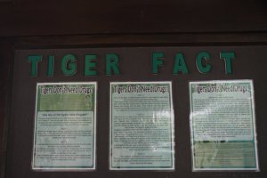 IMG_9518 (FILEminimizer)