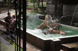 IMG_9520 (FILEminimizer)