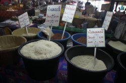 IMG_9611 (FILEminimizer)