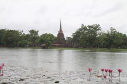 IMG_0042 (FILEminimizer)