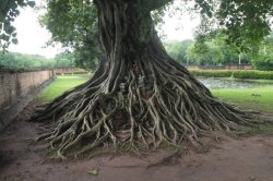 IMG_0086 (FILEminimizer)