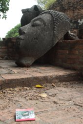 IMG_0344 (FILEminimizer)