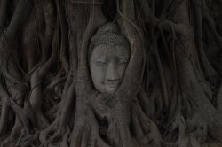 IMG_0410 (FILEminimizer)