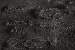 IMG_0584 (FILEminimizer)