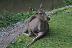 IMG_0641 (FILEminimizer)