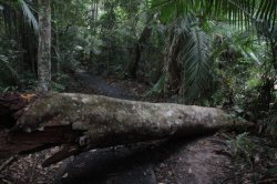 IMG_0672 (FILEminimizer)