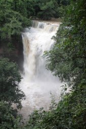 IMG_0682 (FILEminimizer)