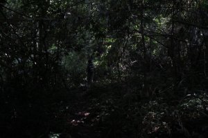 IMG_0698 (FILEminimizer)