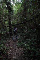 IMG_0711 (FILEminimizer)