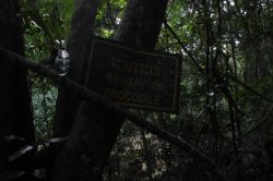 IMG_0722 (FILEminimizer)