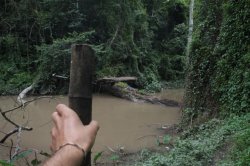 IMG_0733 (FILEminimizer)