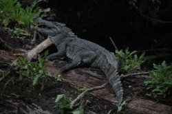 IMG_0737 (FILEminimizer)