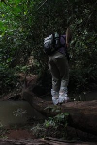 IMG_0749 (FILEminimizer)