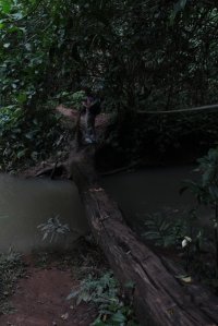 IMG_0751 (FILEminimizer)