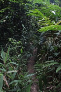 IMG_0757 (FILEminimizer)