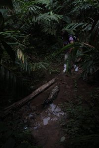 IMG_0758 (FILEminimizer)