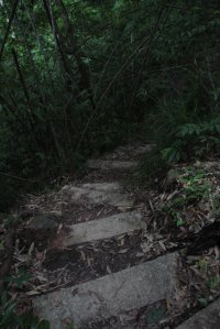 IMG_0769 (FILEminimizer)