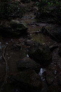 IMG_0774 (FILEminimizer)