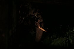 IMG_0811 (FILEminimizer)