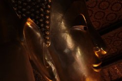 IMG_1295 (FILEminimizer)