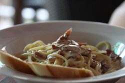 IMG_1849 (FILEminimizer)