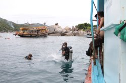 IMG_1864 (FILEminimizer)