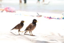 IMG_1951 (FILEminimizer)