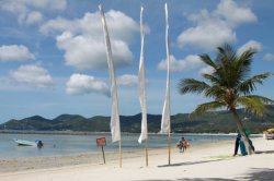 IMG_2032 (FILEminimizer)