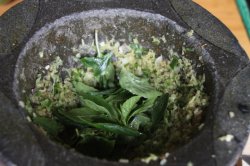 IMG_9682 (FILEminimizer)