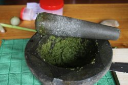 IMG_9685 (FILEminimizer)