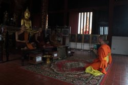 IMG_9850 (FILEminimizer)