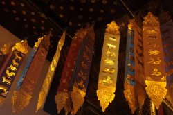 IMG_9881 (FILEminimizer)