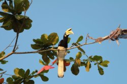 IMG_2742 (FILEminimizer)