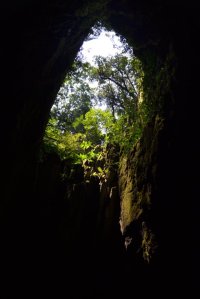 DSC_0062 (FILEminimizer)