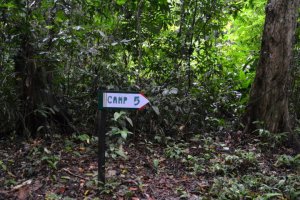 DSC_0089 (FILEminimizer)