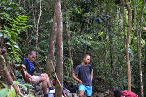 DSC_0113 (FILEminimizer)