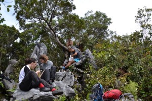 DSC_0151 (FILEminimizer)