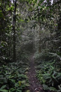 DSC_0218 (FILEminimizer)