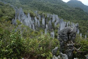 IMG_3157 (FILEminimizer)