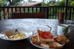 IMG_3311 (FILEminimizer)