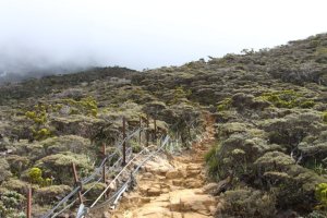 IMG_3332 (FILEminimizer)